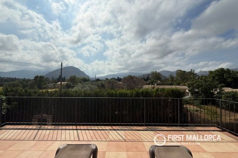 Villa zur Miete in Pollenca, Mallorca, Spanien 5 Schlafzimmer, 226 m2 Nr. 196355 - Foto 28