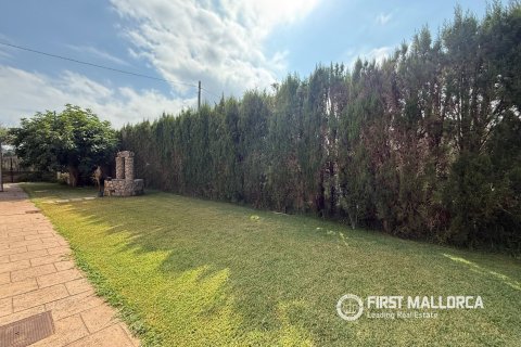 Villa zur Miete in Pollenca, Mallorca, Spanien 5 Schlafzimmer, 226 m2 Nr. 196355 - Foto 8