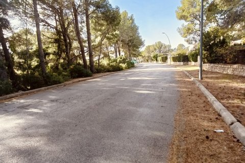 Продажа земельного участка в Л'Аметлья-де-Мар, Таррагона, Испания 576м2 №186167 - фото 2