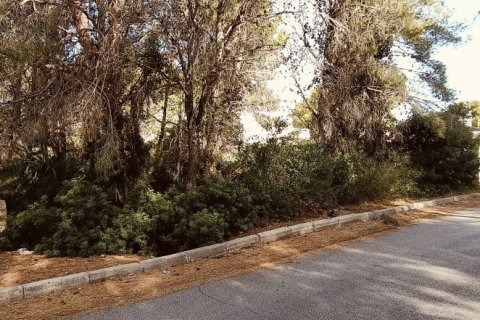 Terreno a L'Ametlla de Mar, Tarragona, Spagna 576 mq. N° 186167