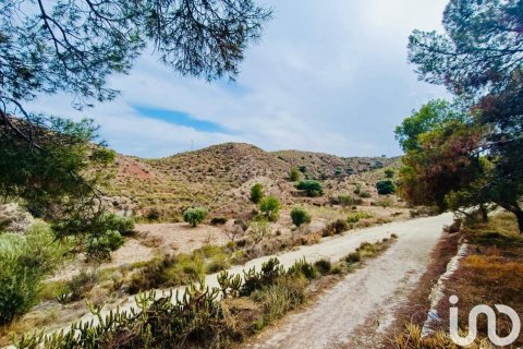 Terreno in vendita a Xixona, Alicante, Spagna 24000 mq. N° 186162 - foto 2