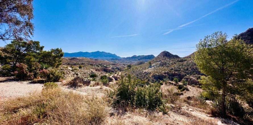 Terreno a Xixona, Alicante, Spagna 24000 mq. N° 186162