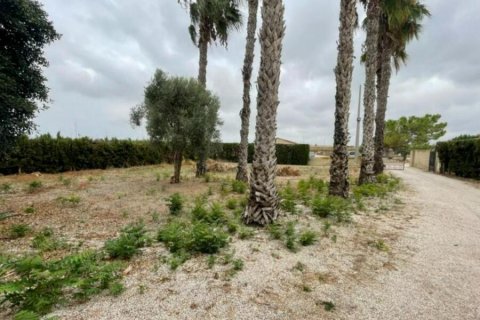 Villa en venta en Daya Vieja, Alicante, España 3 dormitorios, 160 m2 No. 149797 - foto 2