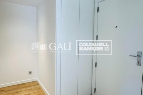 Apartment for rent in Principado De Andorra (Ninguna Poblacion Tiene C.P.), Lleida, Spain 3 bedrooms, 155 sq.m. No. 160477 - photo 13