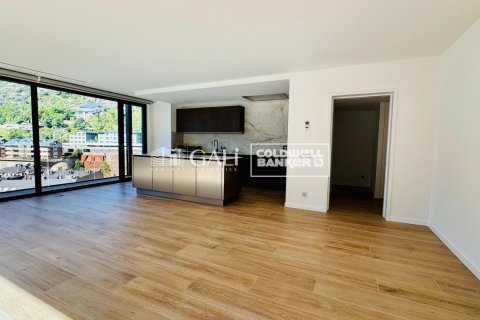 Apartment for rent in Principado De Andorra (Ninguna Poblacion Tiene C.P.), Lleida, Spain 3 bedrooms, 155 sq.m. No. 160477 - photo 2