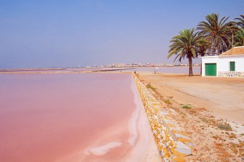 Lägenhet till salu San Pedro del Pinatar, Murcia, Spanien 3 sovrum, 97 kvm. Nr. 136311 - foto 11