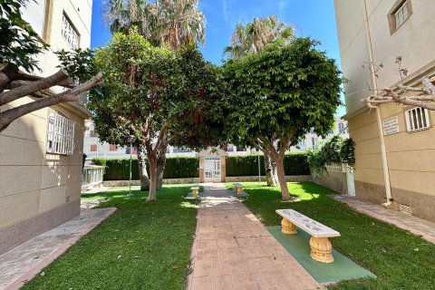 Apartament w Torrevieja, Alicante, Hiszpania 2 sypialnie, 55 mkw. nr 191643 – zdjęcie 29