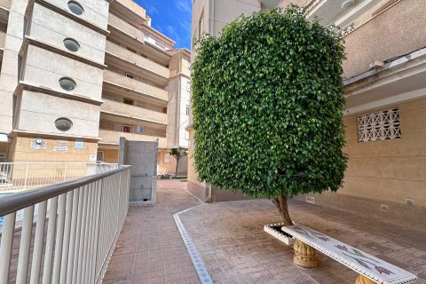 Apartament w Torrevieja, Alicante, Hiszpania 2 sypialnie, 55 mkw. nr 191643 – zdjęcie 30
