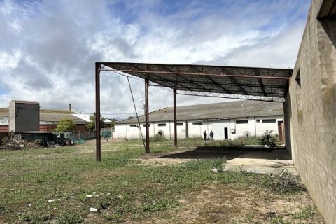 Propiedad comercial en venta en Medina del Campo, Valladolid, España 1520 m2 No. 184780 - foto 9