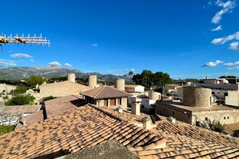 Продажа виллы в Инка, Майорка, Испания 4 спальни, 301м2 №140283 - фото 19