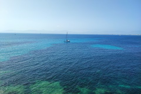 Аренда квартиры в Кала Блава, Майорка, Испания 1 спальня, 56м2 №140284 - фото 17