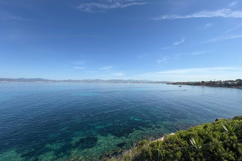 Аренда квартиры в Кала Блава, Майорка, Испания 1 спальня, 56м2 №140284 - фото 15