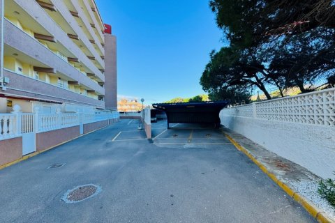 Wohnung zum Verkauf in La Mata, Alicante, Spanien 2 Schlafzimmer, 65 m2 Nr. 140285 - Foto 18