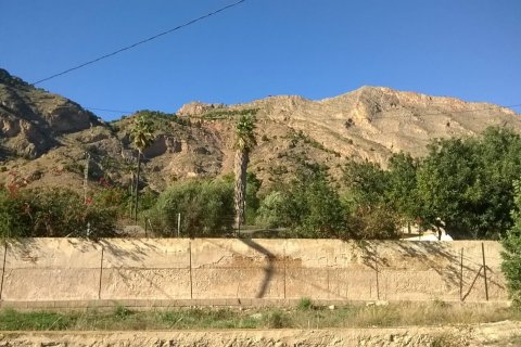 Продажа виллы в Ориуэла, Аликанте, Испания 7 спален, 431м2 №168816 - фото 23