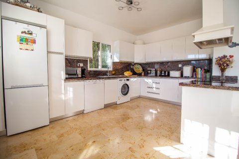 Villa pārdošanā Las Ramblas, Alicante, Spānijā 4 istabas, 161 m2 Nr. 145117 - attēls 5