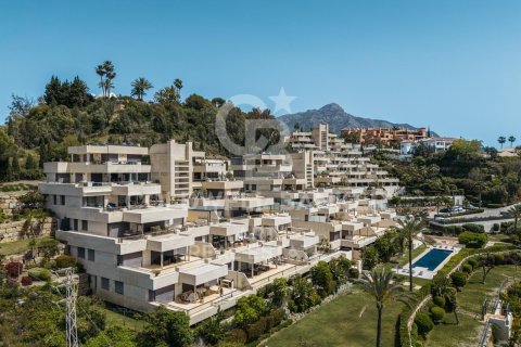 Penthouse à vendre à Marbella, Malaga, Espagne, 4 chambres, 363 m2 No. 158602 - photo 25