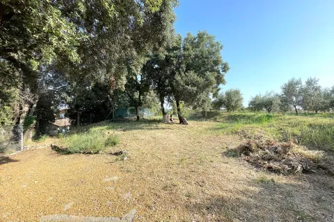 Dom w Terrassa, Barcelona, Hiszpania 5 sypialni, 1323 mkw. nr 167097 – zdjęcie 26