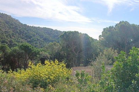 Terreno a Sant Cebria De Vallalta, Barcelona, Spagna 668 mq. N° 185012