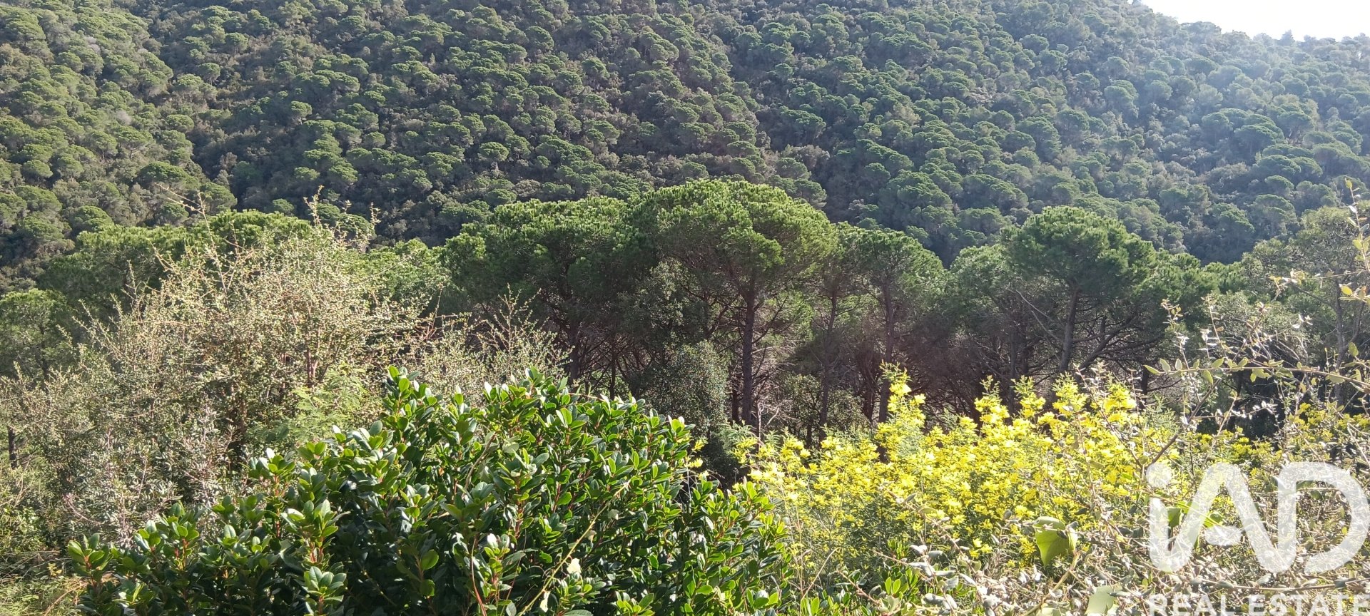 Terreno a Sant Cebria De Vallalta, Barcelona, Spagna 668 mq. N° 185012