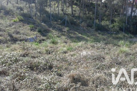 Zemes gabals pārdošanā Olivella, Barcelona, Spānijā 965 m2 Nr. 185011 - attēls 10