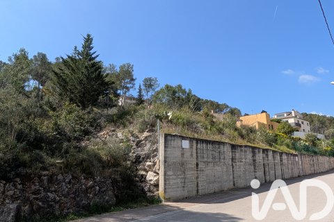 Zemes gabals pārdošanā Olivella, Barcelona, Spānijā 965 m2 Nr. 185011 - attēls 2