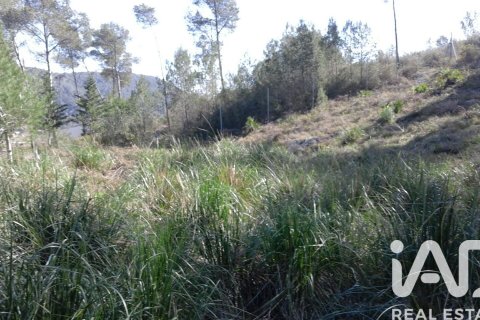 Zemes gabals pārdošanā Olivella, Barcelona, Spānijā 965 m2 Nr. 185011 - attēls 5