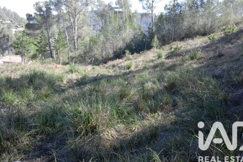 Zemes gabals pārdošanā Olivella, Barcelona, Spānijā 965 m2 Nr. 185011 - attēls 9