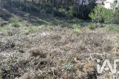 Zemes gabals pārdošanā Olivella, Barcelona, Spānijā 965 m2 Nr. 185011 - attēls 11