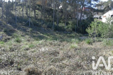 Zemes gabals pārdošanā Olivella, Barcelona, Spānijā 965 m2 Nr. 185011 - attēls 13