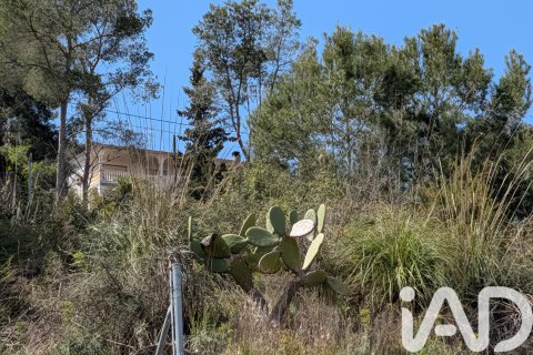 Zemes gabals pārdošanā Olivella, Barcelona, Spānijā 965 m2 Nr. 185011 - attēls 19