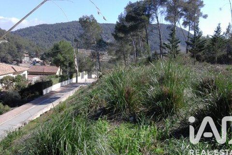 Zemes gabals pārdošanā Olivella, Barcelona, Spānijā 965 m2 Nr. 185011 - attēls 4