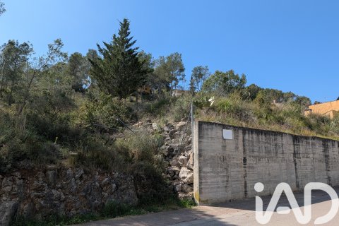 Zemes gabals pārdošanā Olivella, Barcelona, Spānijā 965 m2 Nr. 185011 - attēls 18