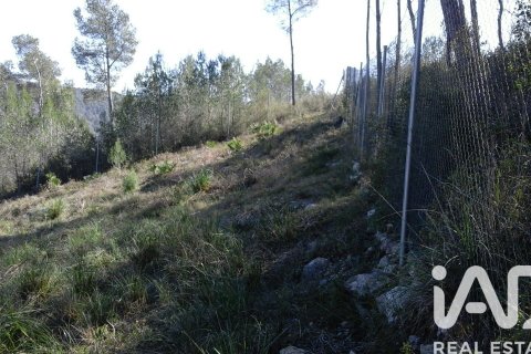 Zemes gabals pārdošanā Olivella, Barcelona, Spānijā 965 m2 Nr. 185011 - attēls 8