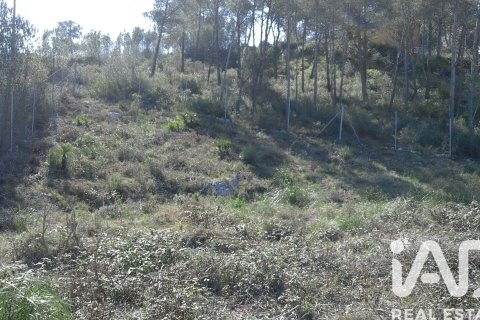 Zemes gabals pārdošanā Olivella, Barcelona, Spānijā 965 m2 Nr. 185011 - attēls 12