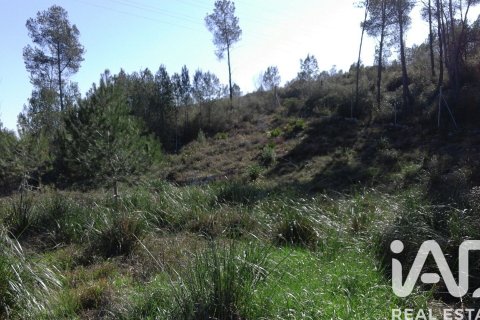 Terreno a Olivella, Barcelona, Spagna 965 mq. N° 185011
