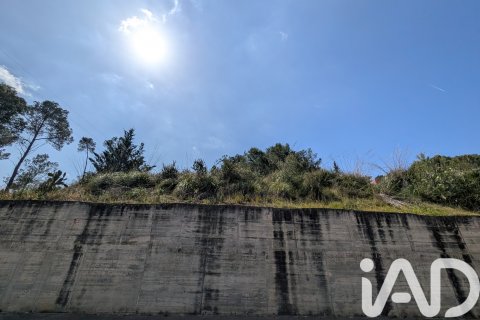 Zemes gabals pārdošanā Olivella, Barcelona, Spānijā 965 m2 Nr. 185011 - attēls 16
