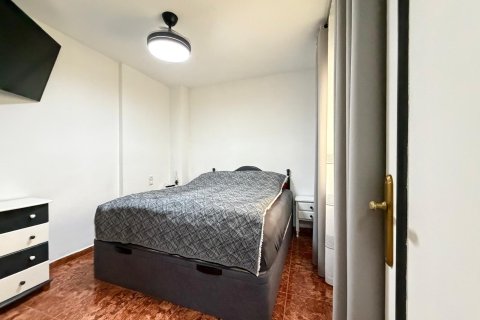 Appartamento in vendita a Torrevieja, Alicante, Spagna 1 camera da letto, 48 mq. N° 182929 - foto 18