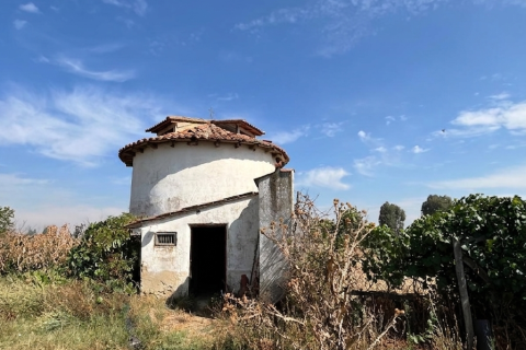 Huoneisto myytävänä Cabreros Del Rio, Leon, Espanja, 3 makuuhuonetta, 242 m2 No. 192136 - kuva 29