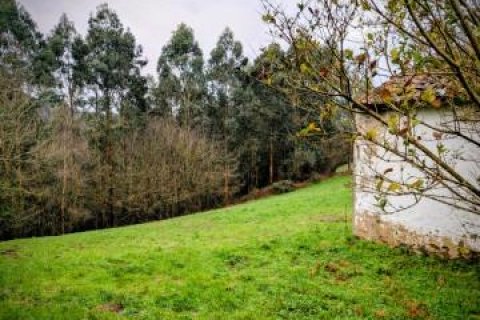 Działka w Cudillero, Asturias, Hiszpania nr 182953 – zdjęcie 14