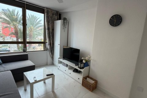 Appartamento in vendita a Torrevieja, Alicante, Spagna 1 camera da letto, 35 mq. N° 182949 - foto 20