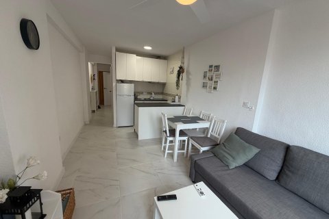 Appartamento in vendita a Torrevieja, Alicante, Spagna 1 camera da letto, 35 mq. N° 182949 - foto 6