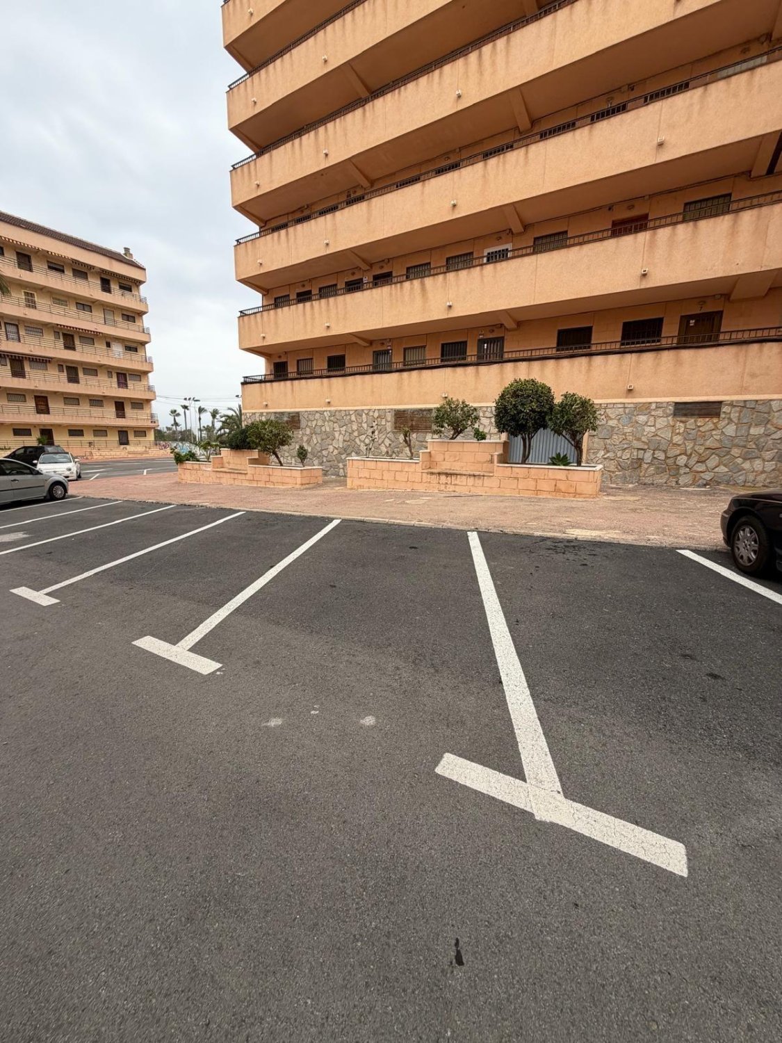 Lägenhet i Torrevieja, Alicante, Spanien 1 sovrum, 35 kvm. Nr. 182949