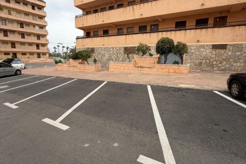 Appartamento in vendita a Torrevieja, Alicante, Spagna 1 camera da letto, 35 mq. N° 182949 - foto 11