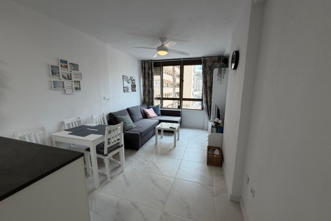 Appartamento in vendita a Torrevieja, Alicante, Spagna 1 camera da letto, 35 mq. N° 182949 - foto 8