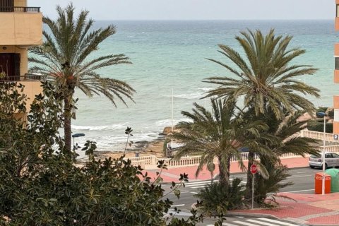 Appartamento a Torrevieja, Alicante, Spagna 1 camera da letto, 35 mq. N° 182949