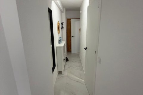 Appartamento in vendita a Torrevieja, Alicante, Spagna 1 camera da letto, 35 mq. N° 182949 - foto 3