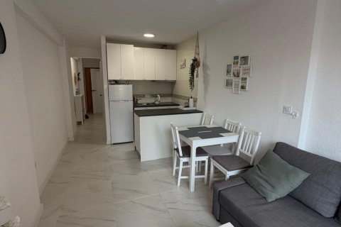 Appartamento in vendita a Torrevieja, Alicante, Spagna 1 camera da letto, 35 mq. N° 182949 - foto 7
