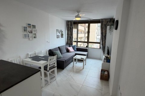 Appartamento in vendita a Torrevieja, Alicante, Spagna 1 camera da letto, 35 mq. N° 182949 - foto 9