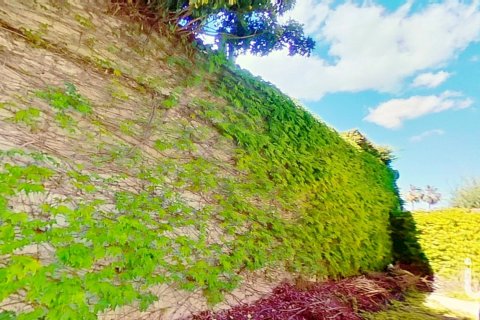 Hus till salu i Alicante, Spanien 4 sovrum, 1150 kvm. Nr. 153484 - foto 24