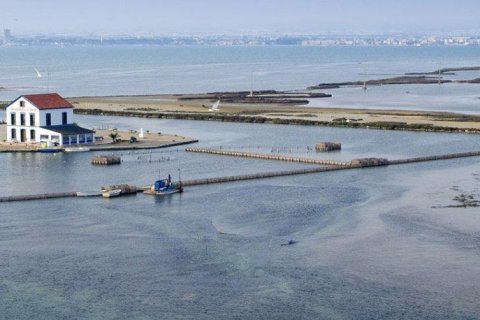 Продажа виллы в Сан-Педро-дель-Пинатар, Мурсия, Испания 3 спальни, 125м2 №141572 - фото 9